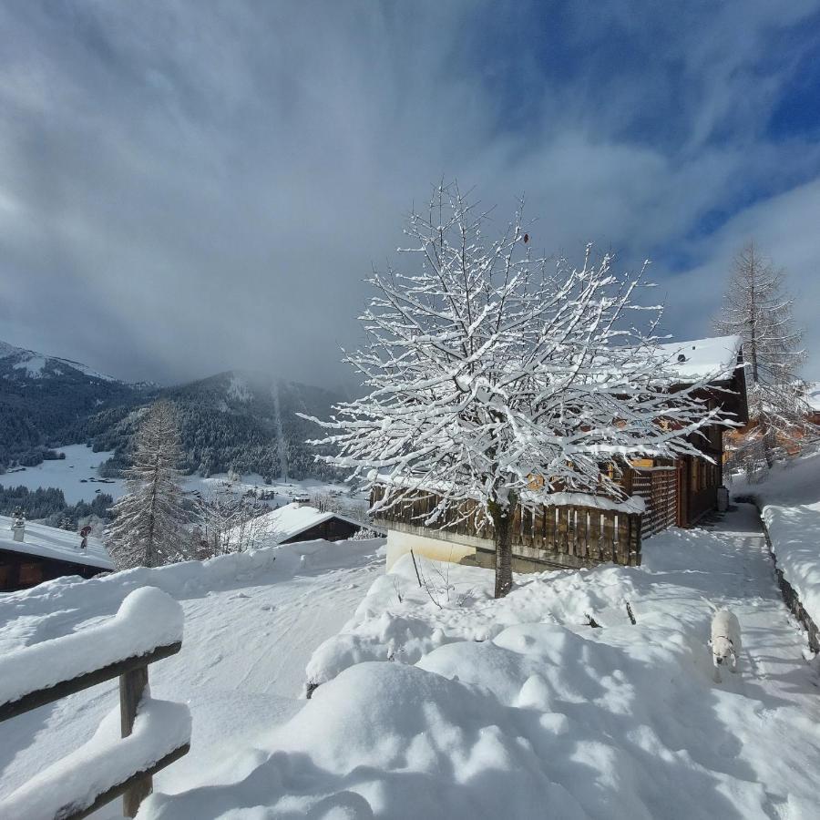 Chambre D'Hotes L'Ours Bleu Les Diablerets Eksteriør bilde