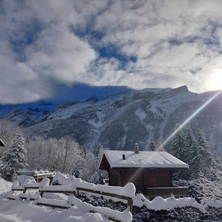Chambre D'Hotes L'Ours Bleu Les Diablerets Eksteriør bilde